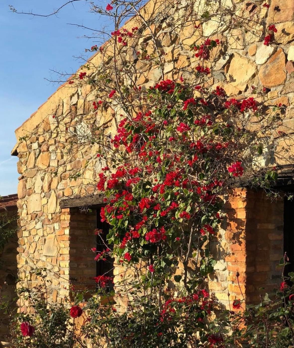 Finca Los Caleros Juan Gallegos Eksteriør billede