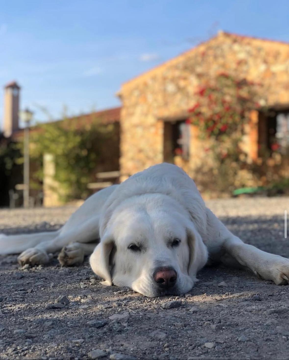 Finca Los Caleros Juan Gallegos Eksteriør billede