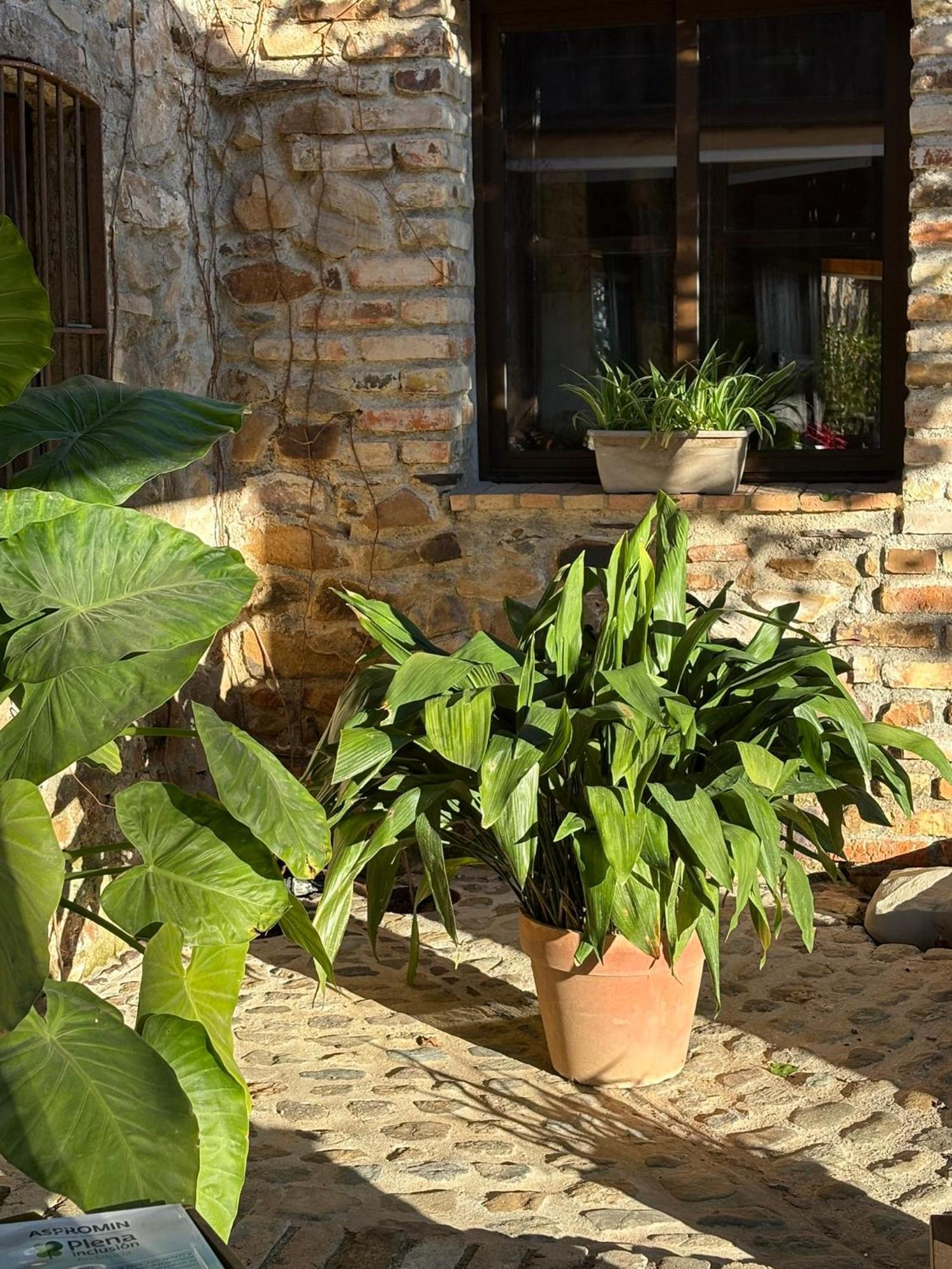 Finca Los Caleros Juan Gallegos Eksteriør billede